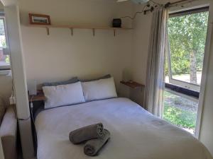 a bed in a room with a large window at Large garden block with multiple dwellings in the centre of Bendigo in Bendigo