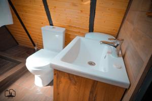 een badkamer met een witte wastafel en een toilet bij Triangle House in Dilidzjan