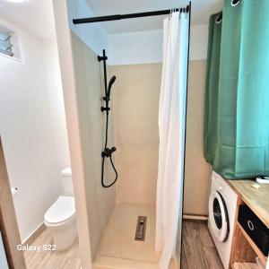 聖吉爾萊班的住宿－Studio P'ti Boucan，设有带卫生间的浴室内的淋浴间