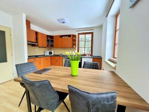 Kuchyň nebo kuchyňský kout v ubytování Apartmány Říčky III.