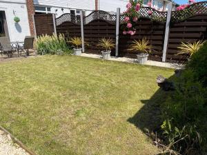 スラウにあるLuxury 3BR Home, Sleeps 5, Contractor Stay -Friendly, Near M25, Free Parkingの庭の草の上に座る猫