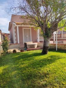 A garden outside Casa Gioia