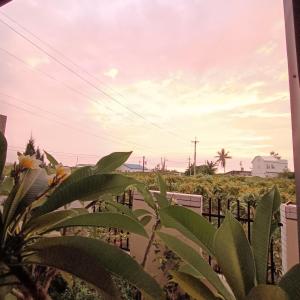 Foto sihtkohas Ch'un-jih-ts'un asuva majutusasutuse 枋寮鳥窩窩 galeriist