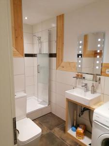 a bathroom with a shower and a toilet and a sink at Ferienwohnung Helli in Teisendorf
