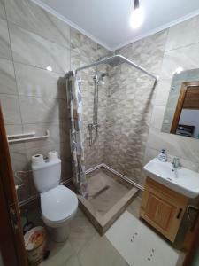 La salle de bains est pourvue d'une douche, de toilettes et d'un lavabo. dans l'établissement Cabana belvedere (VIS), à Colibiţa
