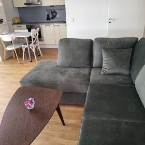 a living room with a green couch and a table at Kastani Home in Tartu