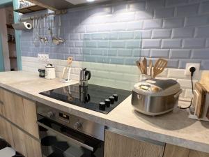 uma cozinha com um fogão e uma panela no balcão em CosyAttic em Saint-Louis