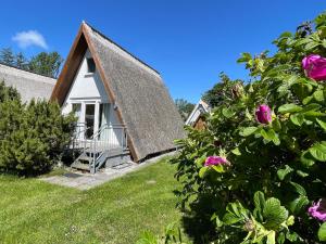 Cabaña pequeña con techo de paja y rosas rosas en Finnhütte Nr.42 auf Mönchgut, en Gager