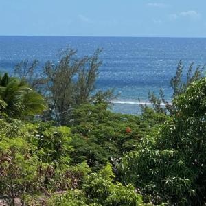 a view of a beach with trees and the ocean at Villa 4 étoiles SAINT LEU - Dodoterla in Saint-Leu