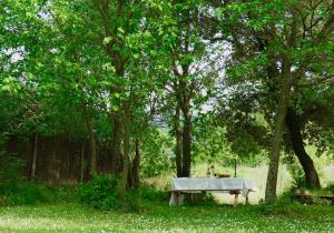 a picnic table in the middle of a park with trees at Apartamento Palmera in Argelaguer