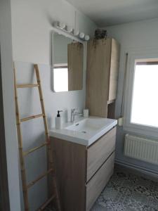 ein Bad mit einem Waschbecken und einem Spiegel in der Unterkunft le Guydine 