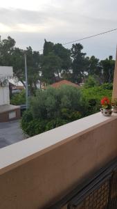a balcony with a flower pot on a ledge at Apartments Katarina in Sutivan