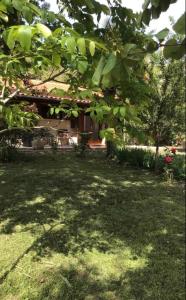 Vonkajšia záhrada v ubytovaní Le gîte de Gascogne
