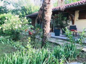 Vonkajšia záhrada v ubytovaní Le gîte de Gascogne
