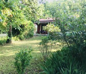 Vonkajšia záhrada v ubytovaní Le gîte de Gascogne
