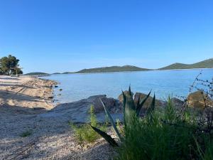 a view of a body of water with some plants at BUQEZ ECO RESORT - Beach Villas 2 and 8 - Seaview, new wifi! in Drage