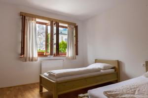 a bedroom with two beds and two windows at Pr'Finzgar in Brezje