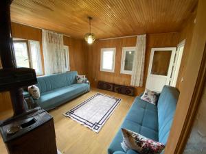 a living room with a blue couch and wooden walls at Hıdırnebimountainhome in Akcaabat