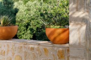 two pots of plants sitting on a stone wall at Villa Vito in Hvar