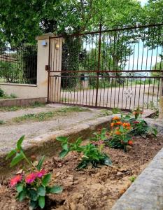 Zahrada ubytování Authentique Mas provençal entre mer et Camargue
