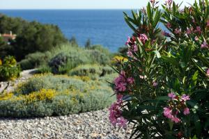 a garden with flowers and the ocean in the background at Villa Vito in Hvar