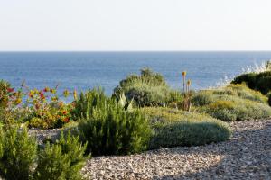a garden with plants and the ocean in the background at Villa Vito in Hvar
