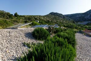 a garden with plants and a house on a hill at Villa Vito in Hvar