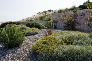 a garden with yellow flowers and bushes at Villa Vito in Hvar