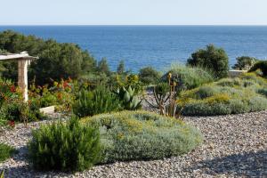 a garden with bushes and flowers and the ocean at Villa Vito in Hvar