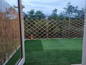 Galeriebild der Unterkunft Nala's House in Ermones + 16 Fotos