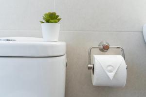 Un dispensador de papel higiénico con una planta encima. en MONKÓ BONAIRE, en Torremolinos 18 fotos más