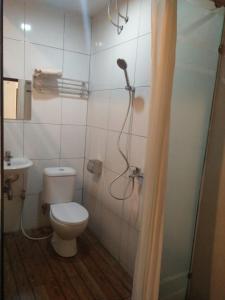 een kleine badkamer met een toilet en een douche bij Royal Guesthouse Bandar Lampung in Bandar Lampung