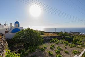 Природа в окрестностях апартаментов/квартиры