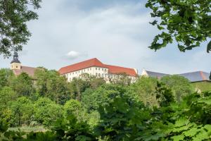 a building on top of a hill with trees at Sonnenschloss in Walbeck