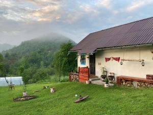 a house with a grassy yard next to a building at Agroturism Sesuri 151 in Şesuri