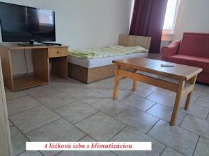 sala de estar con sofá, TV y mesa en Európa Penzión, en Štúrovo