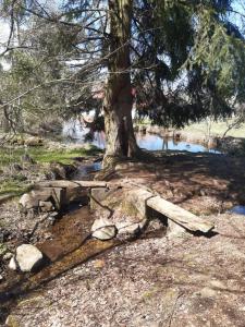 Naturlandschaft in der Nähe der Pension