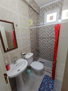 La salle de bains est pourvue de toilettes, d'un lavabo et d'une douche. dans l'établissement Petra downtown house, à Wadi Musa