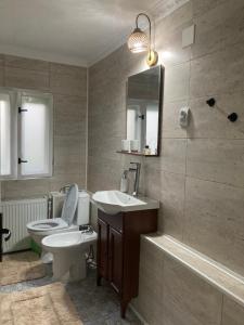 a bathroom with a toilet and a sink and a mirror at Agroturism Sesuri 151 in Şesuri +47 photos
