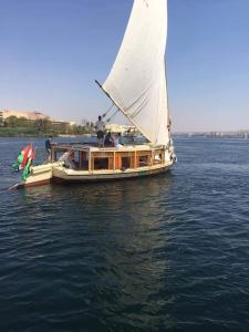 a small boat with a white sail in the water at Sailing boat in Aswan