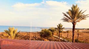 uma vista para uma praia com palmeiras e para o oceano em Paradise Karpaz Hotel & Restaurant em Rizokarpaso