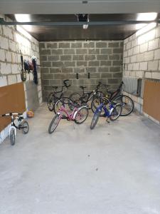 - un groupe de vélos garés dans un garage dans l'établissement Szyszkowy Domek, à Milejczyce