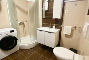 a bathroom with a toilet and a sink and a shower at Apartments Domane Nenad in Neum