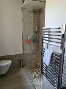 a bathroom with a glass shower with a toilet at Grand studio 35 m2 avec mezzanine et vue mer in Théoule-sur-Mer +8 photos