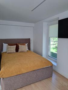 a bedroom with a large bed and a window at Kurortas Apartments in Palanga
