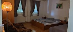 a bedroom with a bed and a chair and a lamp at Apartments Vidoš in Drežnik Grad