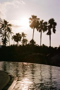 een zwembad met palmbomen op de achtergrond bij Napasai, A Belmond Hotel, Koh Samui in Mae Nam