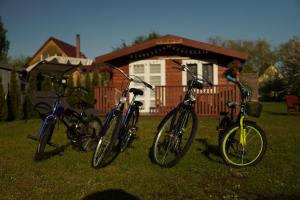 três bicicletas estacionadas na relva em frente a uma casa em Atpūtas mājiņas Kolkā- Madaras un Rota em Kolka