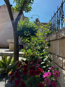 a bunch of flowers in front of a fence at Dionysus Apartments & Studios in Syvota +13 photos