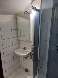 a bathroom with a sink and a shower at Apartmán pri Sokolovni in Martin